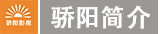 亿德体育和骄阳(yáng)简(jiǎn)介.png 亿德体育(中国)体育官方网站
